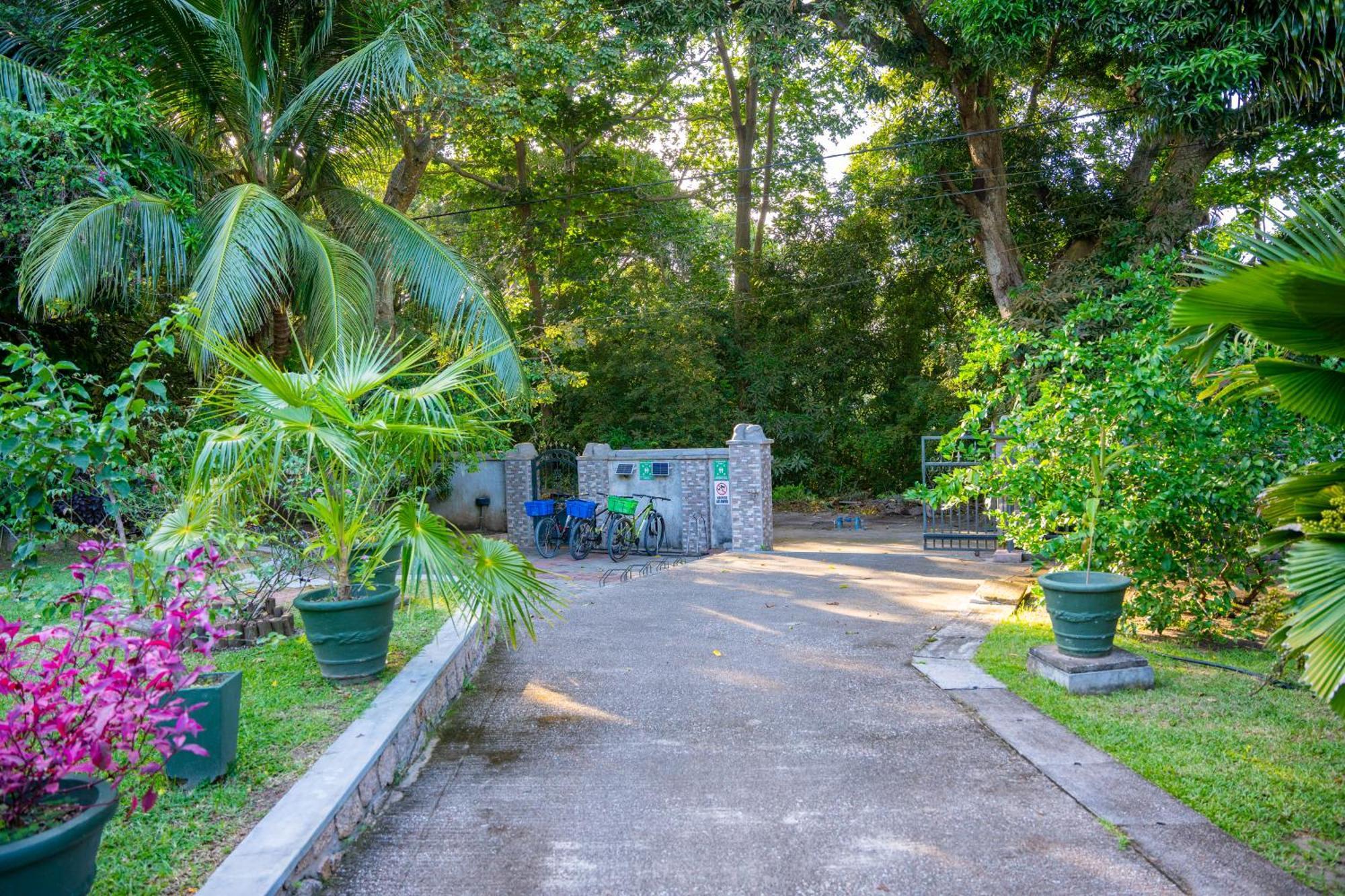 Pension Michel Villa Roche Bois Ла-Диг Экстерьер фото